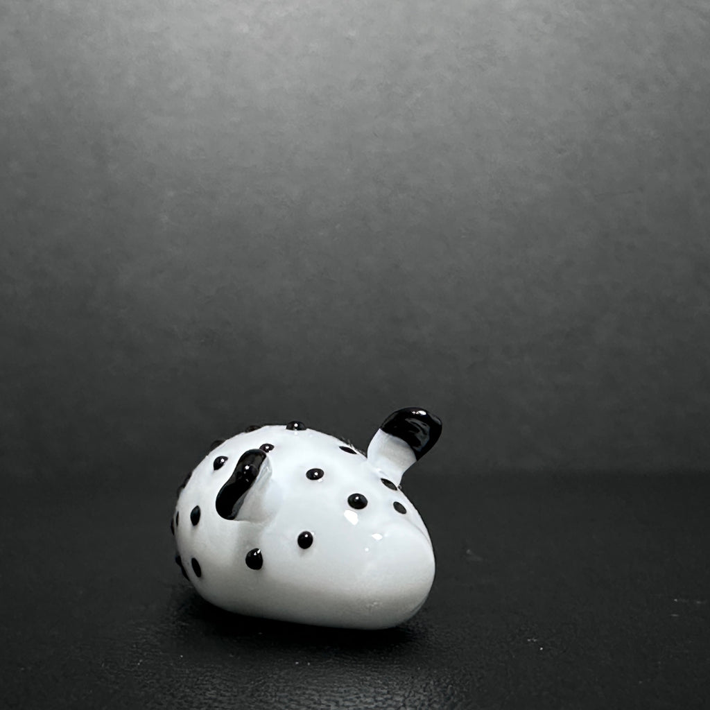 洋楽 albino slug albino slug