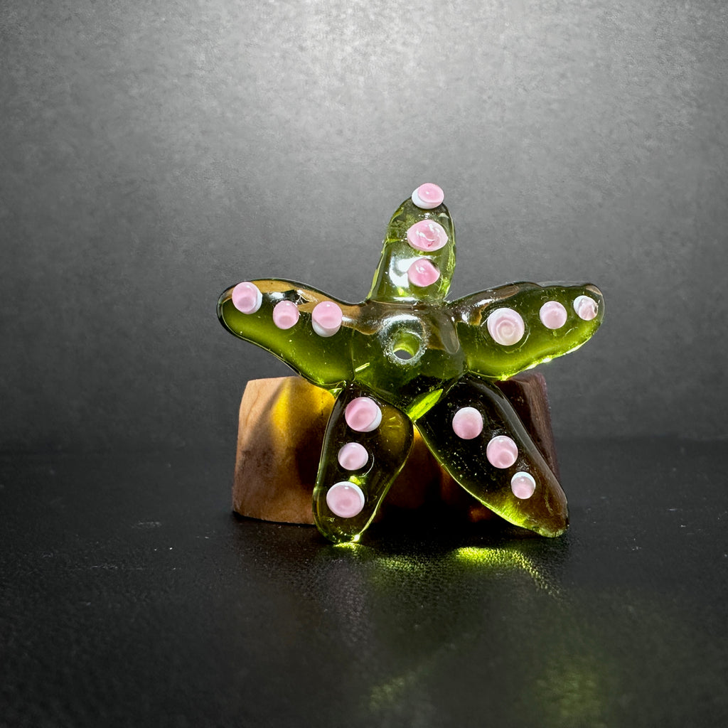 shell light clear。シェルライト ヒトデ パールstarfish shell light