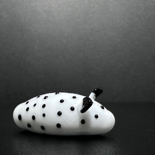 Bunny Nudibranch, Black and White Sea slug. Handmade Flame Work Sculpture.