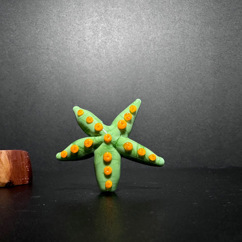 Starfish, Sea Star, Star Fish, Green Star Fish