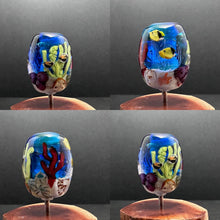 Reef Bead, Aquarium, Butterly Fish, Clown Fish, Hawaiian Trigger Fish