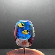 Reef Bead, Aquarium, Butterly Fish, Clown Fish, Hawaiian Trigger Fish
